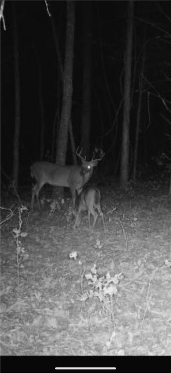 Other Subdivision - Land