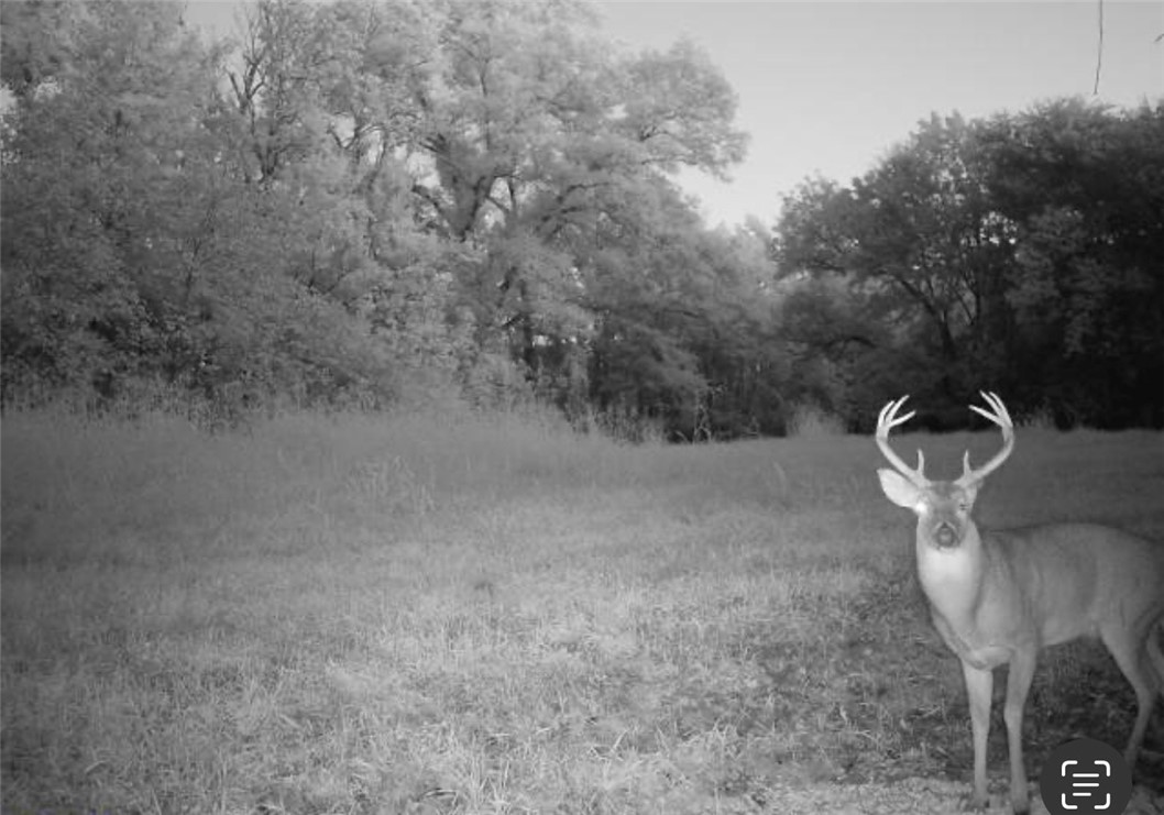 Other Subdivision - Land