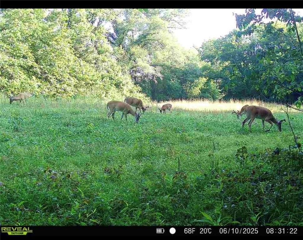 Other Subdivision - Land