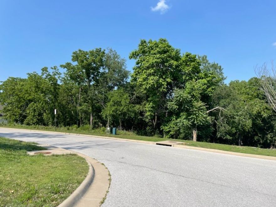 This beautiful 2+ acre lot is one of the last available in the highly sought-after Havenwood subdivision! Located in East Fayetteville, the lot features mature trees that provide a private feel while still being close to everything NWA has to offer! Just down the street from Sassafras Winery and less than a 10-minute commute to the Fayetteville business district. Build your dream home in this highly desirable area!