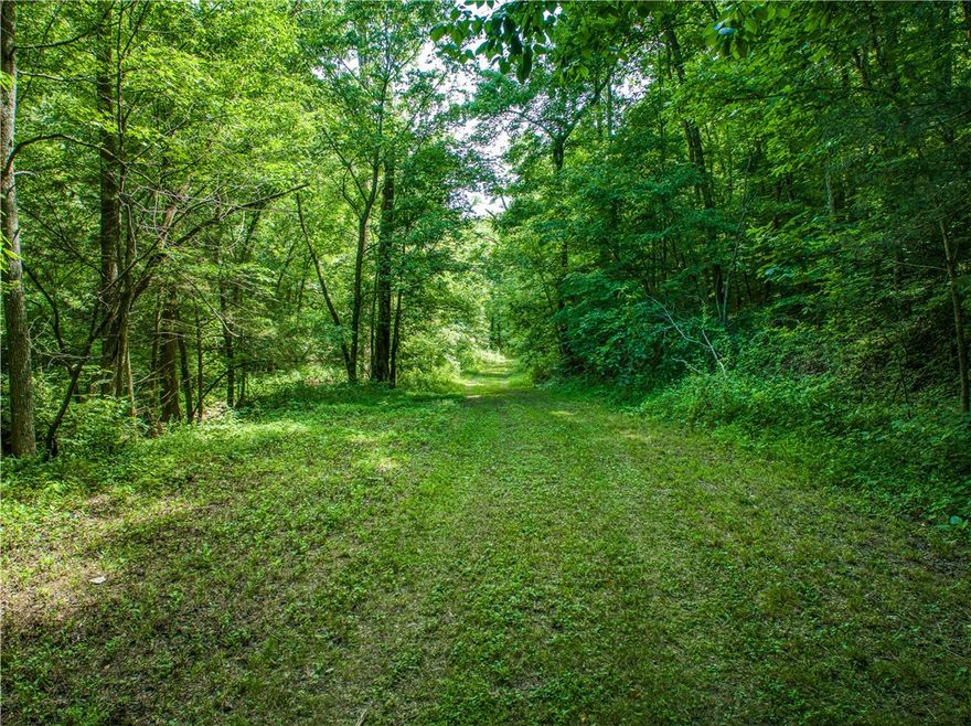 This 40-acre tract in Searcy County, Arkansas offers a solid recreational setup near the Buffalo National River. The land sits between two rolling hills and features a creek running through the center, creating a private and functional layout with good natural cover.
The property shows strong hunting potential, supported by game camera activity. An older cabin is positioned on the hillside overlooking the creek and is being sold as-is, making it a practical option for a hunting camp or weekend getaway. Woolum Campground is approximately 2 miles away, National Park Service land is less than ¾ mile away, and the Buffalo River is just over a mile from the property. North Woolum Road has just received grant funding for approximately 2.8 miles of paving, adding long-term value and improved access.
This is the type of property buyers look for when they want privacy, nearby public land, and easy access to the Buffalo without being in the middle of the crowds.