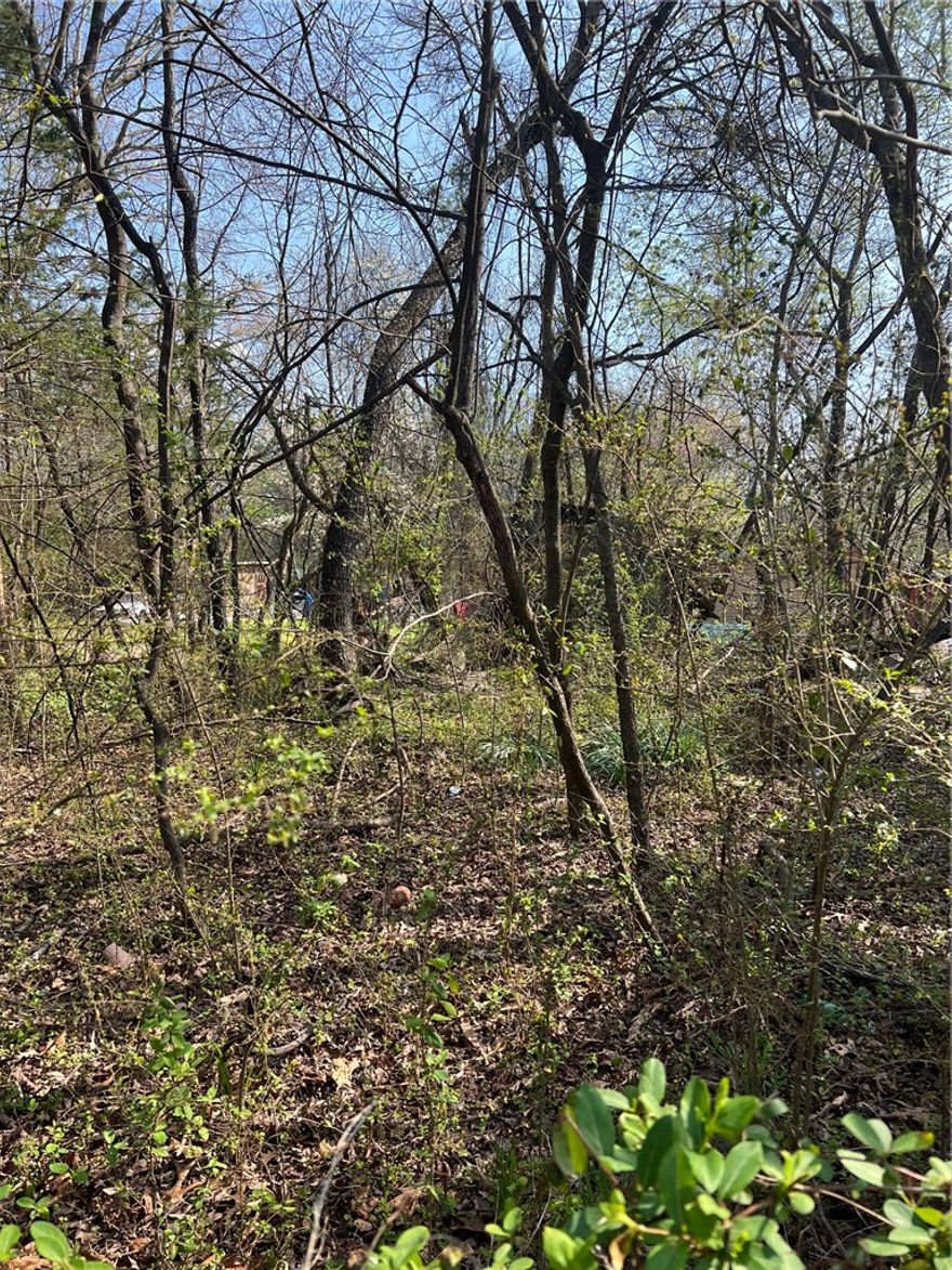 Great building lot in Summit!  This nearly level 75 x 130 lot is ready to be cleaned/cleared for you to start your new home or set your new mobile. Public utilities available.