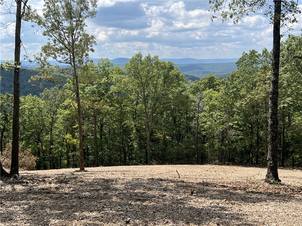 Spectacular Ozark Mountain View!! 34.82 Acres m/l with a beautiful homesite on top of the Ozark Mountain. The land is mostly wooded with several benches to build or make into food plots for the wildlife. Awesome hunting, close to the Buffalo National River Park, electric available, and no restrictions. Call today to schedule a showing.