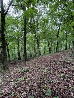 Your Slice of the Ozarks Awaits!
Build your dream home on this 0.742-acre lot nestled in the serene hills of Holiday Island, Arkansas. This lot offers stunning views of the Ozark Mountains and is located on a peaceful street with community water and electric already at the road—ready for your vision.
0.742 Acres Ready for your vision!
Community water & electricity at the road
Zoned for residential use, Breathtaking views of the Ozark Mountains
Paved road access
Located in the desirable Holiday Island community, this property gives you access to a range of resort-style amenities
Marina, fishing, boating, and water sports
Close to White River, Table Rock Lake, and Eureka Springs.
Wildlife is abundant in this area, with deer and birds often passing through. If you’re looking for peace, quiet, and natural beauty, this lot delivers. Perfect for a full-time residence or vacation home.