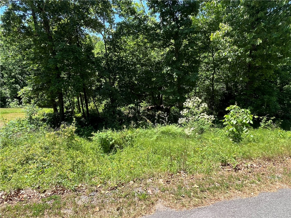 Sewer Lot! .34 acres on paved circle drive road (low traffic), Desirable area with newly built homes, Quick access .6 miles onto Hwy 71, Mountain bike trail access 1.8 miles, Short distance 1.5 miles to Walmart Supercenter and Town Center / Harps grocery store, Lake Norwood / Lake Ann nearby, Bella Vista Country Club and Tanner Creek Driving Range 1.5-mile drive away, Bentonville School District, Enjoy Amenities of Bella Vista! POA Lot monthly Fee $16 - allows access to (7) Lakes, (6) Golf Courses, (2) Outdoors Swimming Pools, (1) Indoors Swimming Pool, (3) Workout Centers, Tennis Courses, Disc Golf, Gun Range, Golf Driving Range, Walking Trails, 100+ Miles of Mountain Biking Trails, (1) Sandy Beach, Pro Golf Shops, Fishing Docks, and much more.