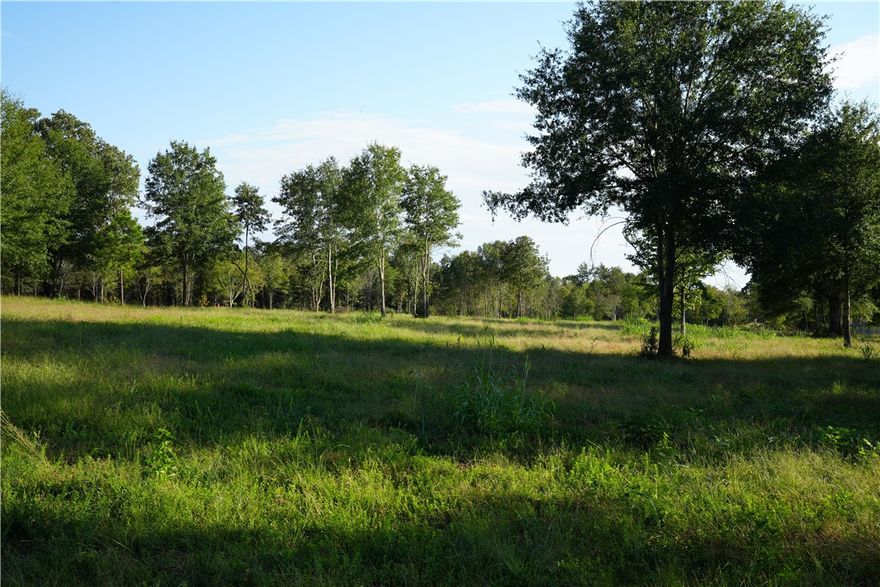 Rare acreage (almost 14 acres) basically right in main part of Dover! Beautiful property that it currently mostly wooded, with some cleared areas. Privacy and nature, but walking distance to Harp's! Access off of Library Rd or Slabtown Rd. Don't miss your chance to purchase this desirable property!