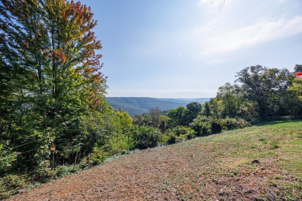 McClendon Sub - Residential