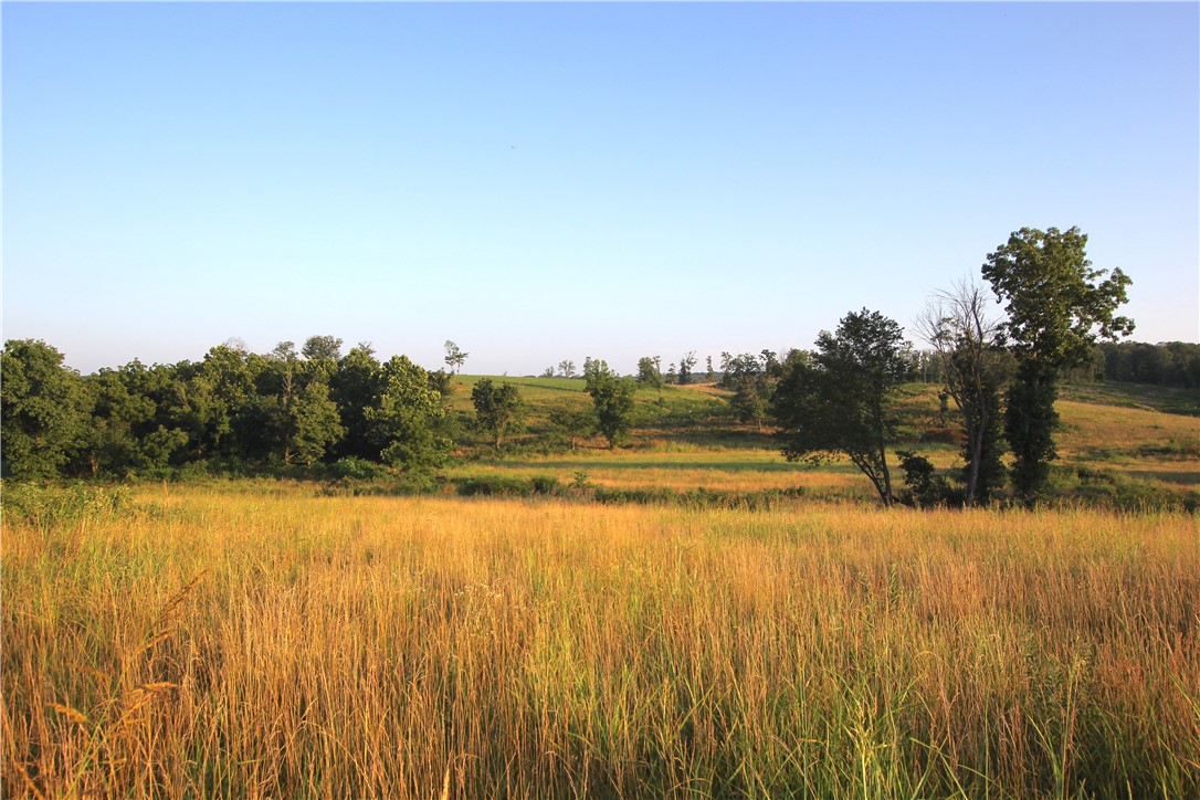 Introducing a new 56+/- acre property in Benton County, perfectly situated between gentry and the XNA airport. This beautiful parcel features rolling pasture ground with a light mix of large timber, offering development potential or multiple homesite options. The land boasts a seasonal creek, aesthetic farm pond, gentle slopes and good livestock fencing. With electricity and access to municipal water already in place, this property is ready to accommodate your vision. Plus, itās just a short drive form the metro area, combining rural tranquility with urban convenience. Donāt miss this unique opportunity in rapidly growing Benton County, AR!