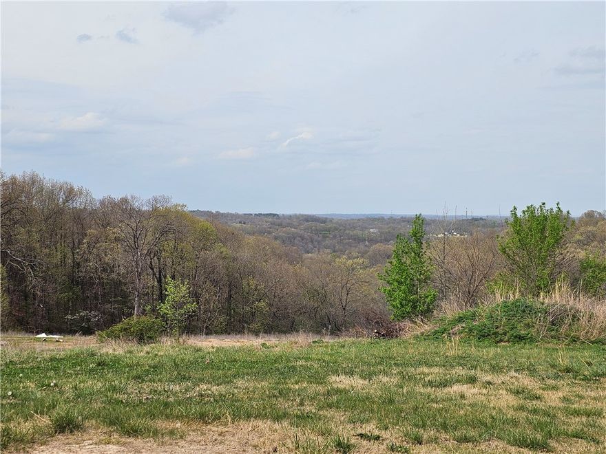 3.8 acres with amazing views, located just 3.5 miles from Hickory Creek, offering strong potential for investors or buyers looking to make it their own. This 3-bedroom, 1-bath home is in need of repairs but has some solid bones. Property features multiple covered carports, including RV parking with electric hookup, plus additional covered space for tractors, trailers, or equipment. A 21x24 insulated shop includes commercial wiring, 200 AMP service, 8’ door, and 12’ ceilings—ideal for workspace or storage. The property has great potential for a home business.