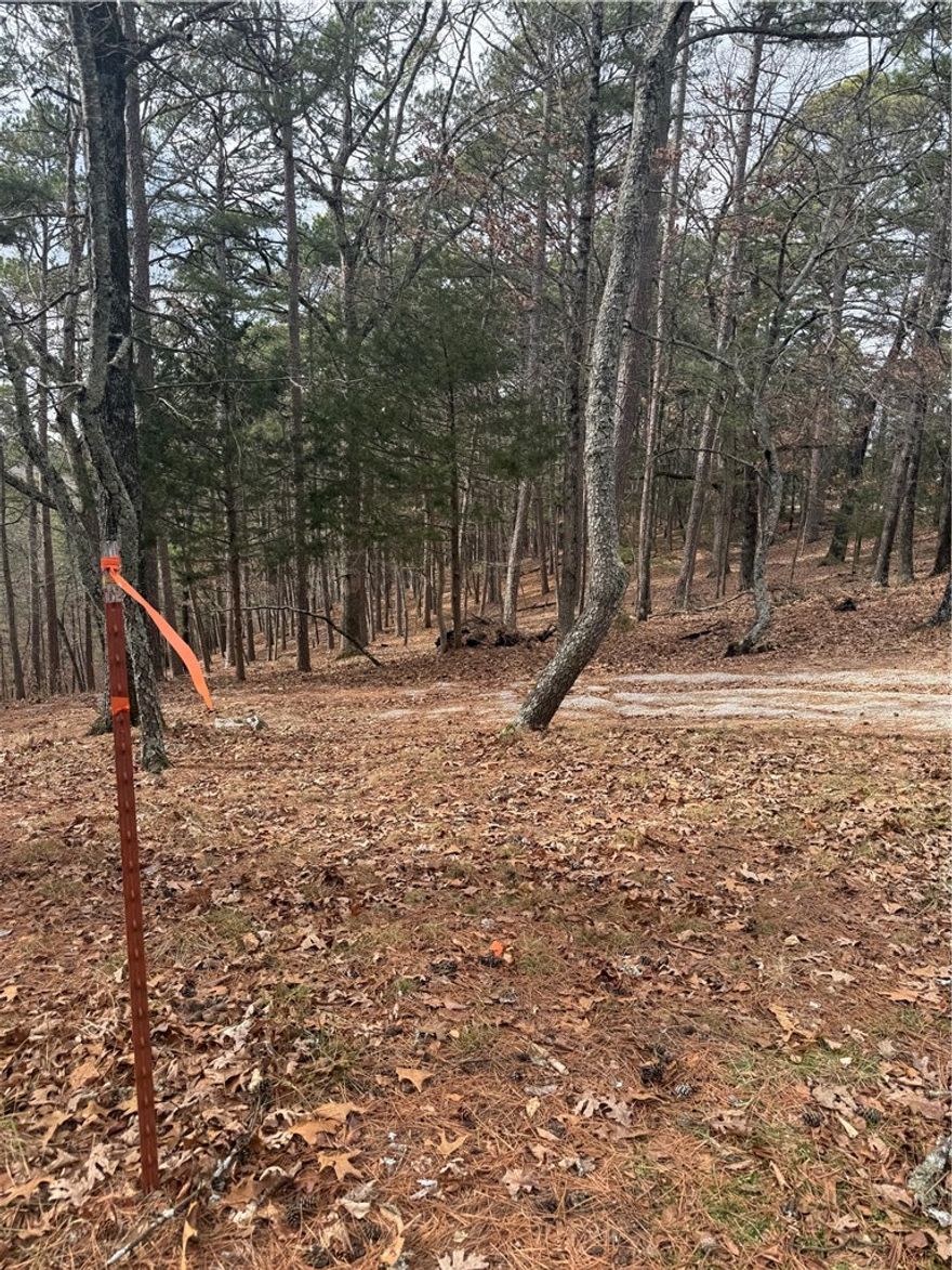 Located on East Mountain this beautiful property backs up to Little Eureka Reservation land that is home to Little Eureka Spring and Little Eureka Lake. A half mile North of this property is the East Mountain Gazebo a favorite spot for tourists to stop and look out at the beautiful view of The Crescent Hotel. This is also less than a mile from Downtown restaurants and the entertainment district. A picturesque place to build a home.