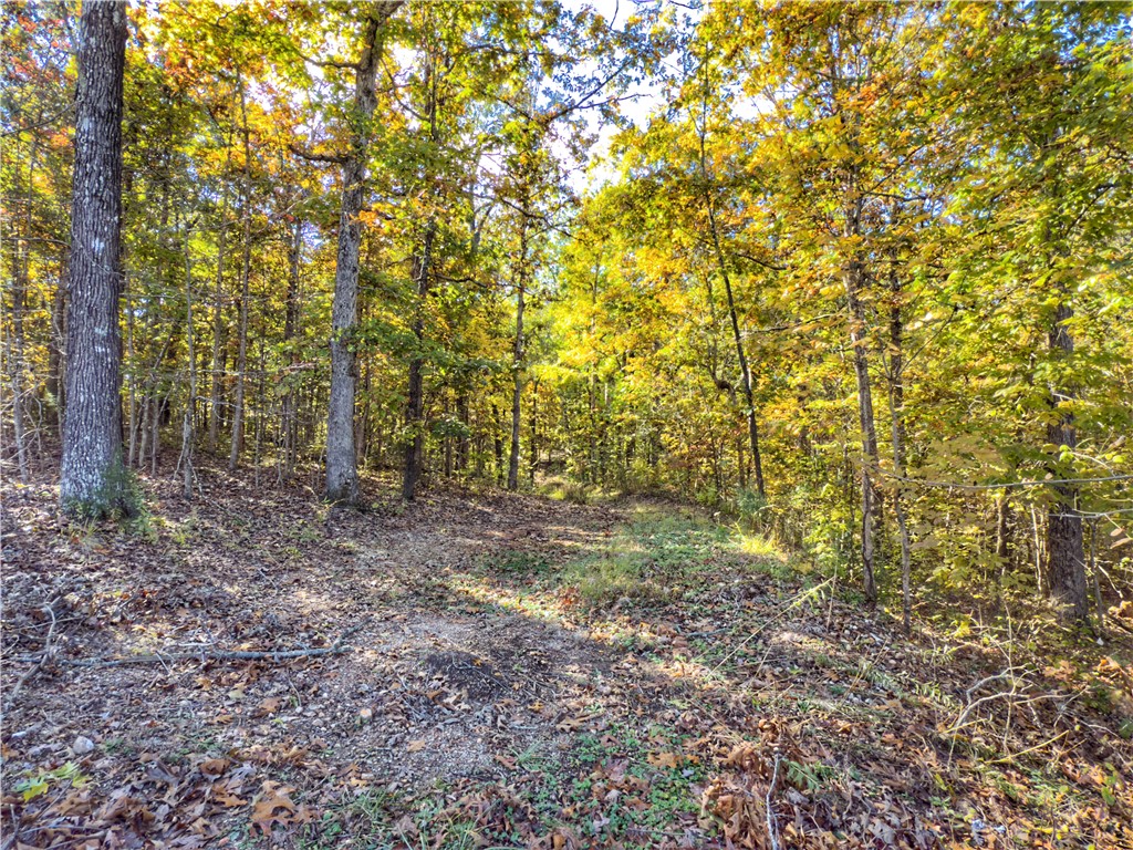 Dogwood Hills Estate - Land