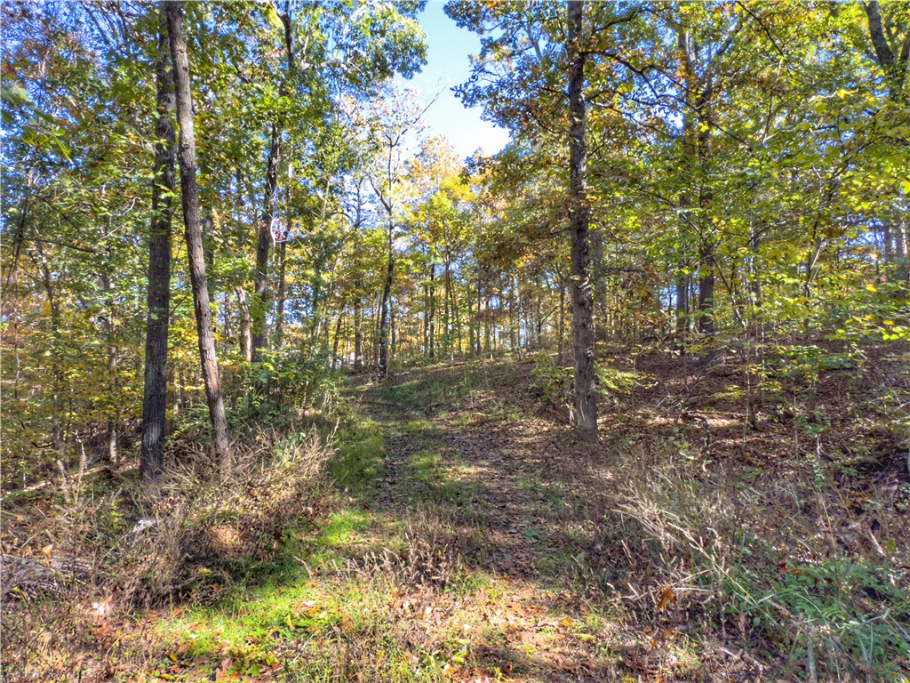 Dogwood Hills Estate - Land