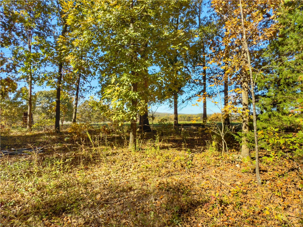 Dogwood Hills Estate - Land