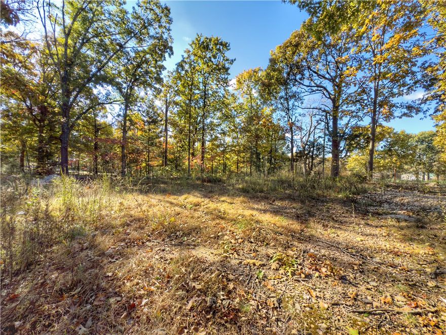 Beautiful 3 acre lot only a mile outside of the city limits. Located in a well maintained subdivision with light restrictions to protect your investment.