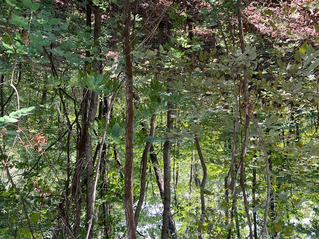 Unit 2 Holiday Island - Land