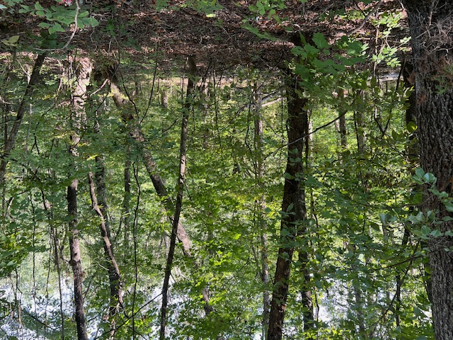 Unit 2 Holiday Island - Land