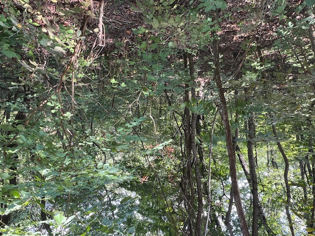 Unit 2 Holiday Island - Land