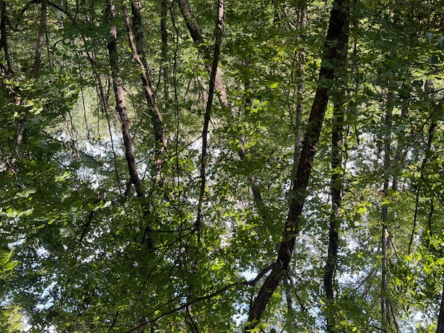 Unit 2 Holiday Island - Land