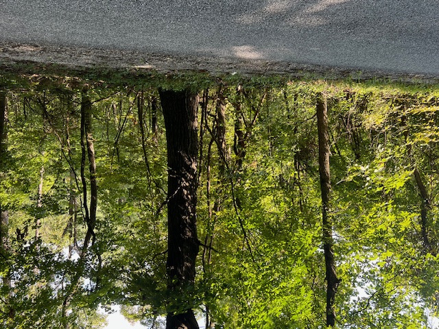 Unit 2 Holiday Island - Land