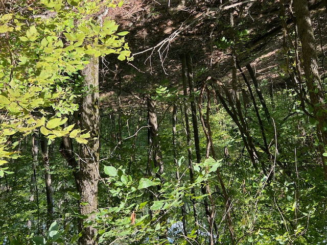 Unit 2 Holiday Island - Land