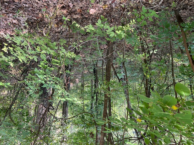 Unit 2 Holiday Island - Land