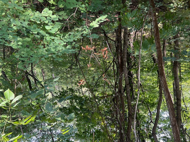 Unit 2 Holiday Island - Land