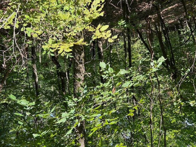 Unit 2 Holiday Island - Land