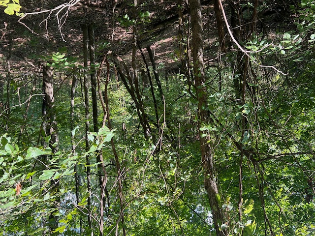 Unit 2 Holiday Island - Land