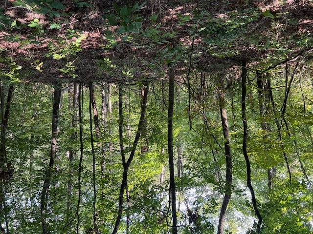 Unit 2 Holiday Island - Land