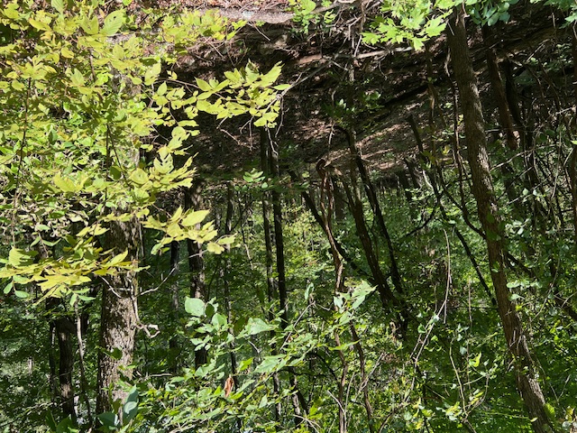 Unit 2 Holiday Island - Land