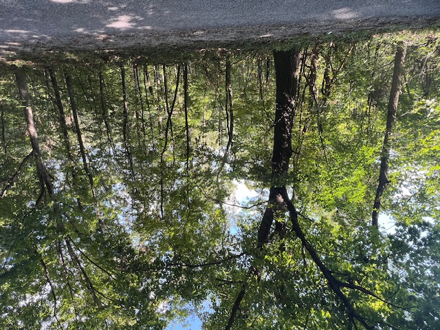 Unit 2 Holiday Island - Land