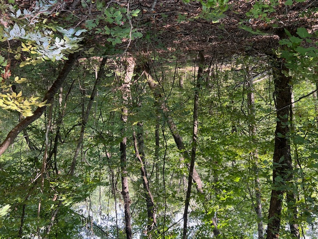 Unit 2 Holiday Island - Land