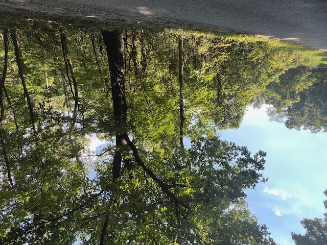 Unit 2 Holiday Island - Land