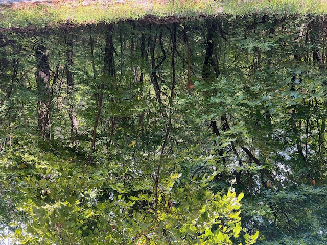 Unit 2 Holiday Island - Land