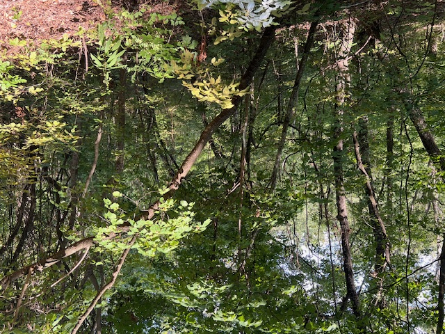 Unit 2 Holiday Island - Land