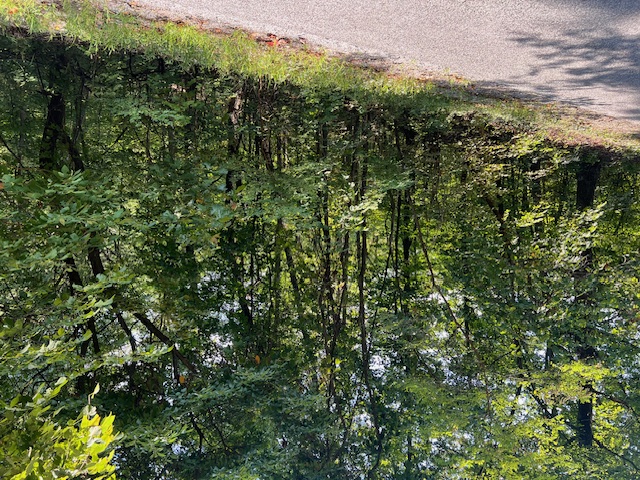 Unit 2 Holiday Island - Land