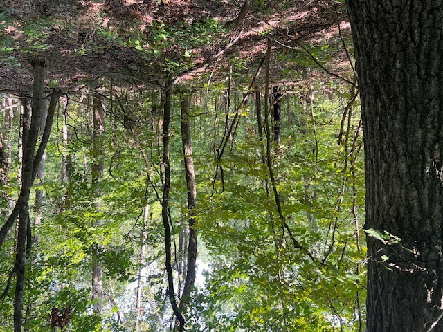 Unit 2 Holiday Island - Land