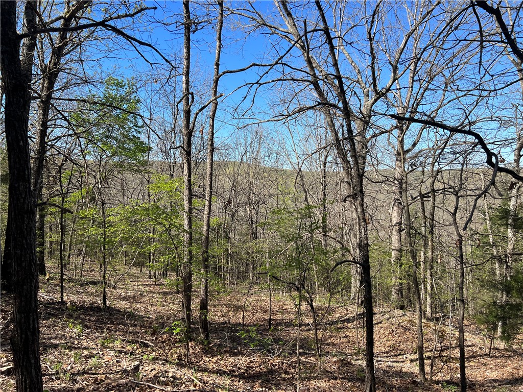 9.47 Acres with a great view.