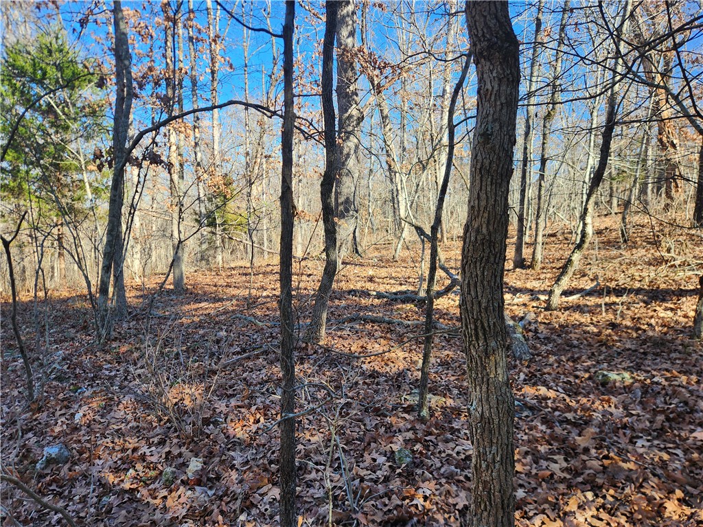 Newcastle Sub Bvv - Land