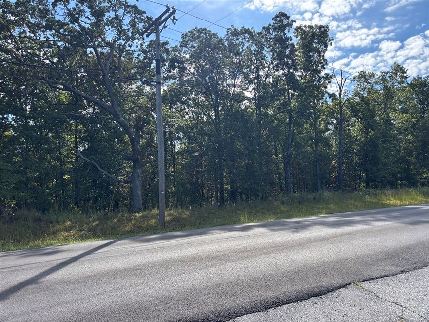 Large .46-acre property in a fantastic location! Just 3–4 minutes from the Back 40, SBAT, and Pinyon Bike Trails, 7-8 minutes from Blowing Springs Park, Lake Brittany and the exciting new family-friendly OZ Trails Bike Park with gravity trails and a chair lift!

Whether you’re ready to build your dream home or looking for a smart investment, this property is a winner. This lot can be purchased by itself or with the property next door. Buy both and enjoy nearly a full acre!