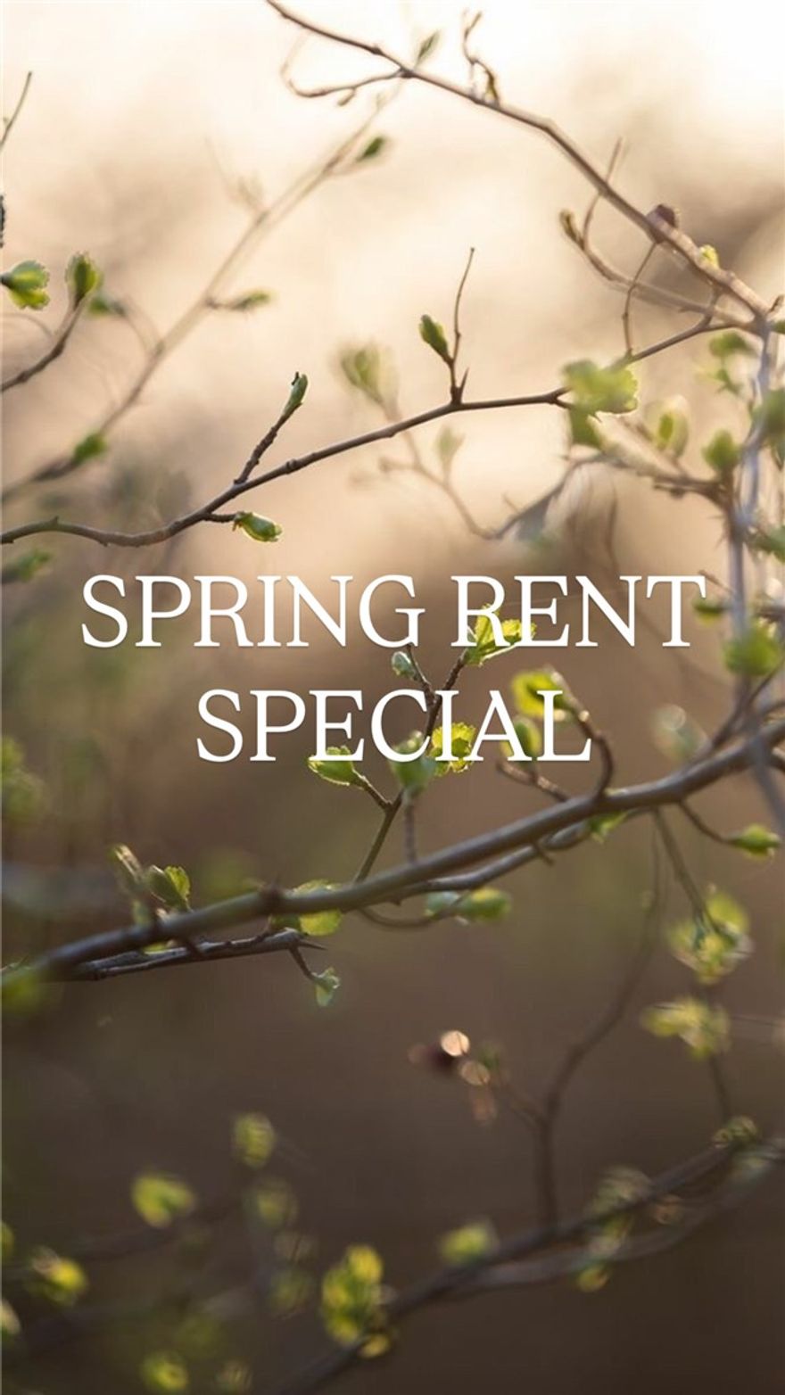 **SPRING RENT SPECIAL** Half off first month's rent! Cute 3 bed 2 bath home in West Fayetteville just minutes to I-49 and everything Fayetteville has to offer! This single family home has amenities like stainless steel appliances, vaulted ceiling, gas log fireplace, 2" faux wood blinds, Granite countertops, shaker style cabinets, custom tile shower and more! Don't miss your opportunity on this one.