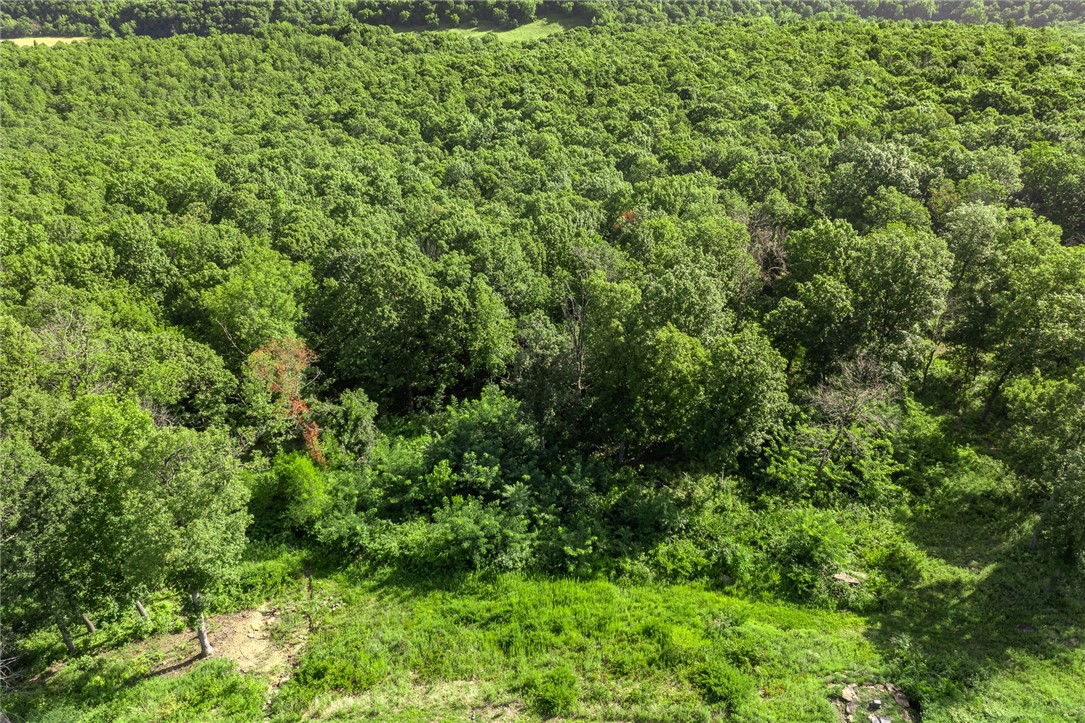 Round Mountain Estates - Land