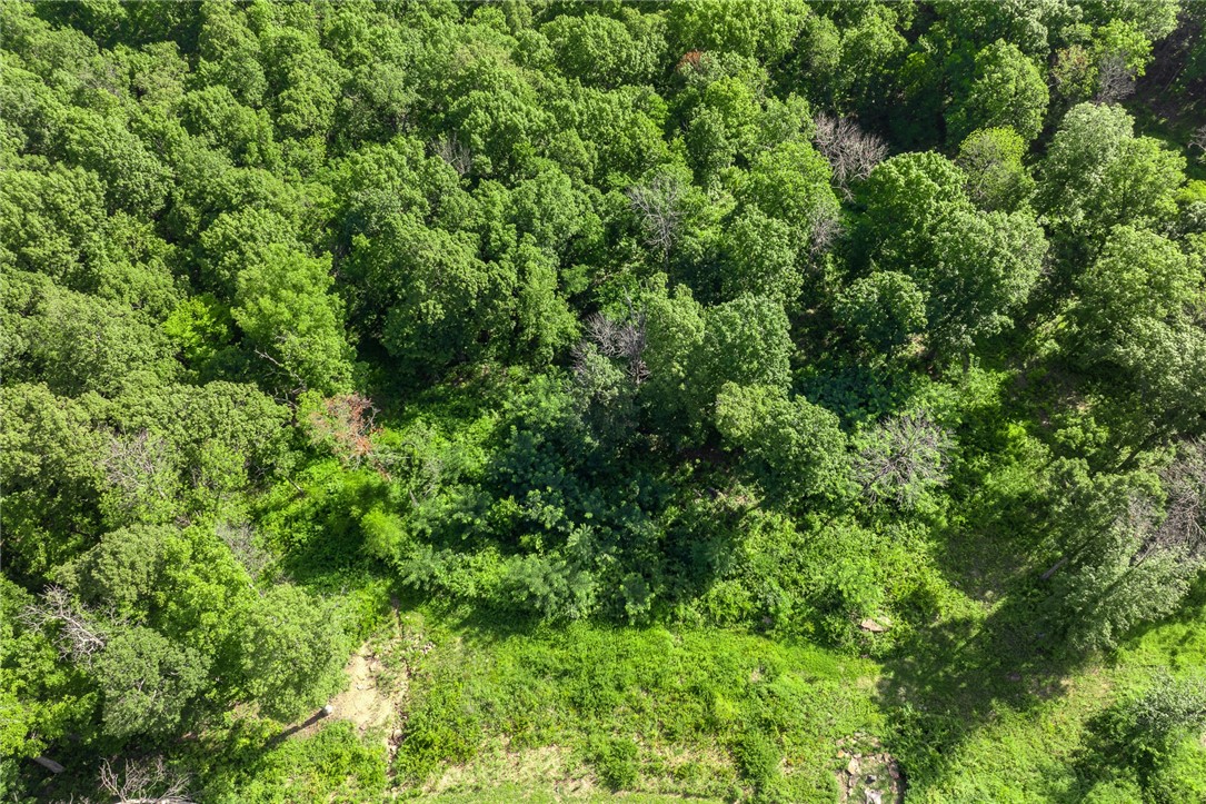 Round Mountain Estates - Land