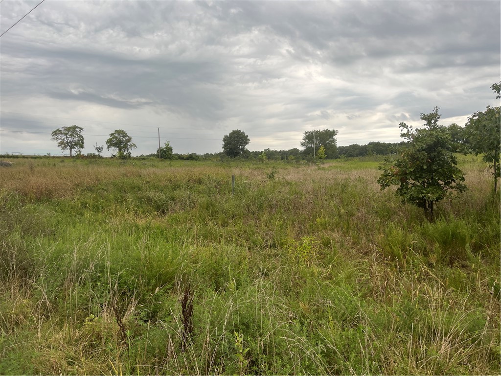 Over a half acre of of beautiful Arkansas countryside ready for it's new owner!! Water meter on site, electric on site, septic permit and design completed and new survey currently! This property is ready to build your dream home on, call and schedule your showing today!