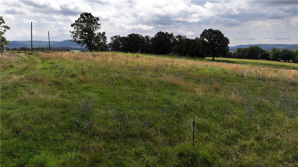 Berryville Outlots - Land
