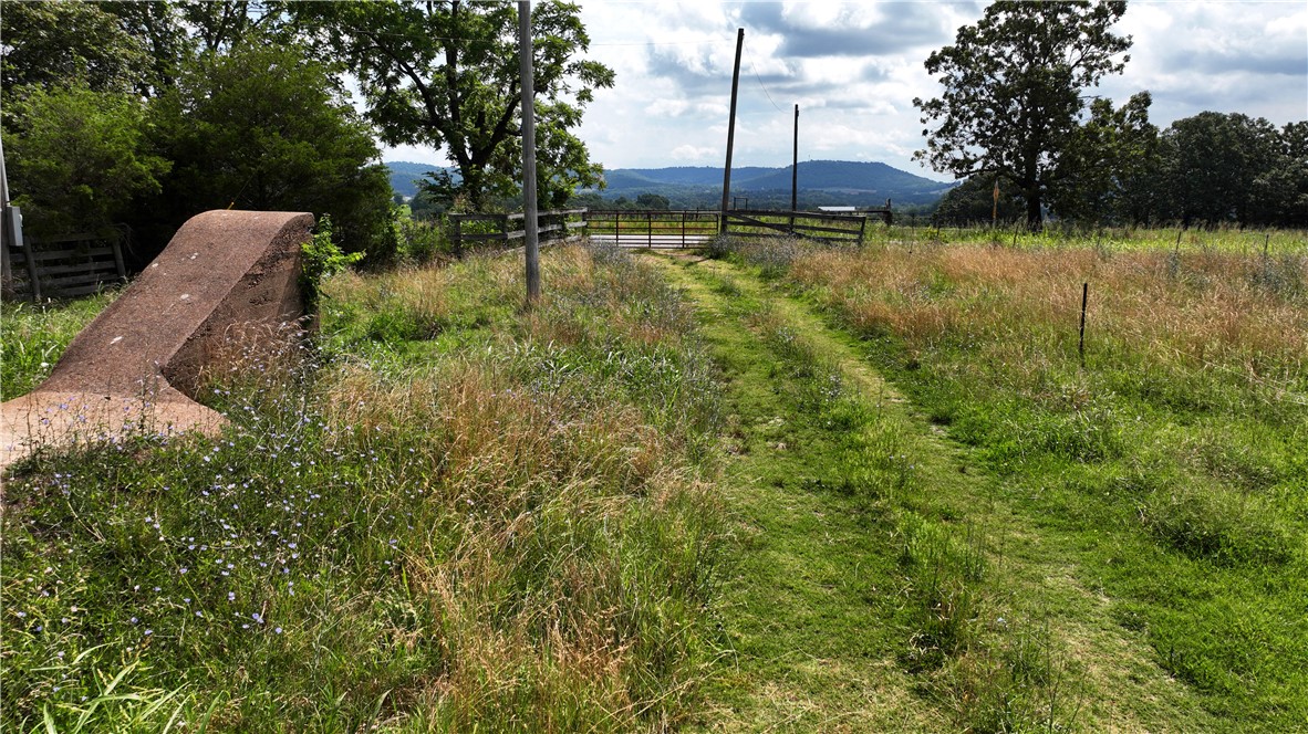 Berryville Outlots - Land