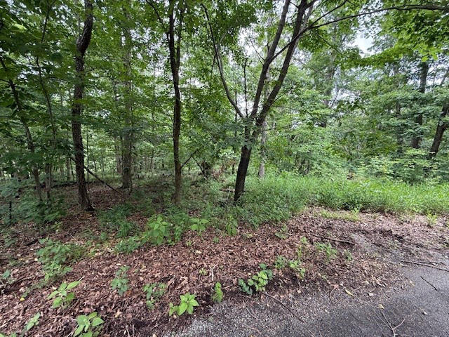 Beautiful location for your dream home in Bella Vista! This secluded property is just under 4 acres and at the end of a quiet cul-de-sac in a peaceful rural setting. Surrounded by nature and abundant wildlife, it’s perfect for those seeking privacy and tranquility.
Conveniently located near key amenities:
Less than 5 minutes to Branchwood Recreation Center (fitness, pool, pickleball, walking trails)
Only 6 minutes to Highland Golf Course & Pub
8 minutes to Hwy 71 bypass for easy access to NWA
10 minutes to Loch Lomond, Bella Vista’s premier lake for boating and fishing
15 minutes to Walmart Corporate HQ in Bentonville
Ideal for building a custom home in a serene environment while staying close to town, golf, and outdoor recreation.