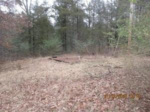 Beautiful lots are waiting for the taking. Call and make an offer!
