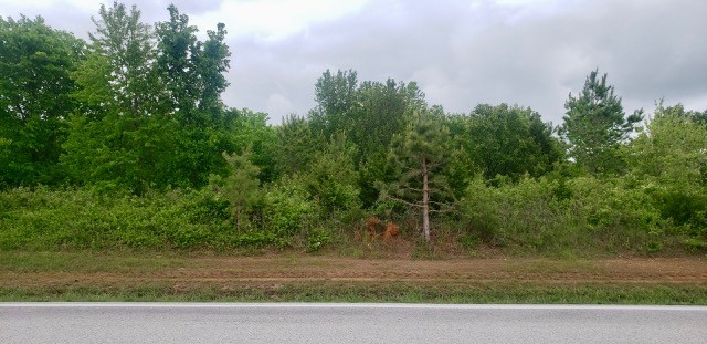 29-18-33-Siloam Spgs - Land