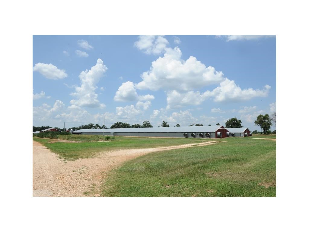 Fajita Country - Farm